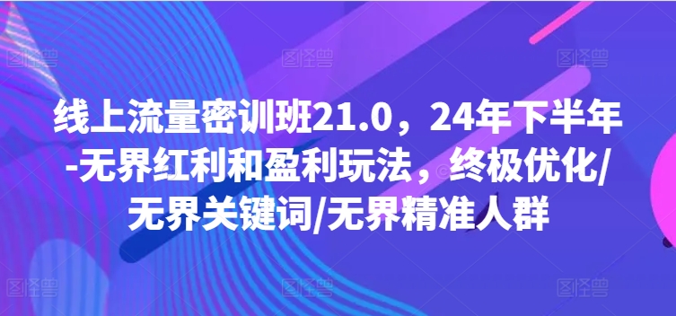 线上流量密训班21.0，24年下半年-无界红利和盈利玩法，终极优化/无界关键词/无界精准人群-摸金项目网
