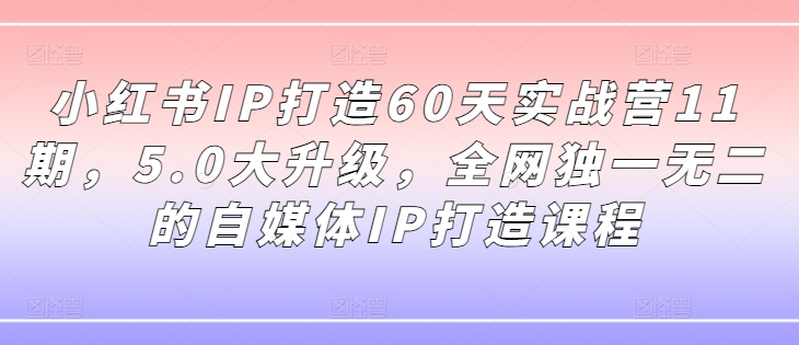 小红书IP打造60天实战营11期，5.0大升级，全网独一无二的自媒体IP打造课程-摸金项目网