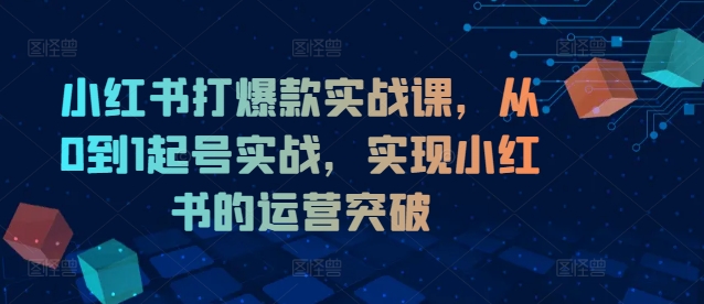 小红书打爆款实战课，从0到1起号实战，实现小红书的运营突破-摸金项目网