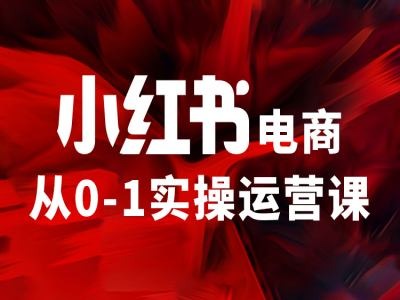 小红书电商从0-1实操运营课，让你从小白到精英-摸金项目网