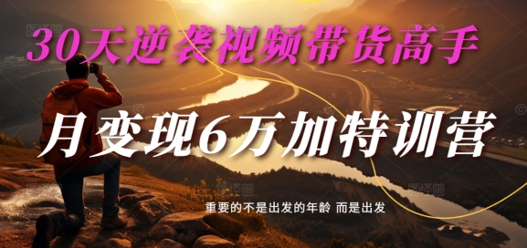 30天逆袭视频带货高手，单月变现6万加特训营-麦子甜-摸金项目网
