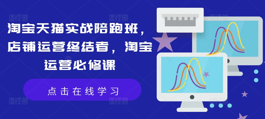 淘宝天猫实战陪跑班，店铺运营终结者，淘宝运营必修课-摸金项目网