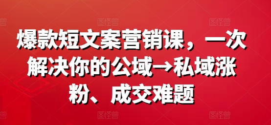 爆款短文案营销课，一次解决你的公域→私域涨粉、成交难题-摸金项目网