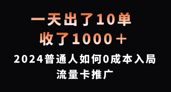 一天出了10单，收了1000+，2024普通人如何0成本入局流量卡推广【揭秘】-摸金项目网