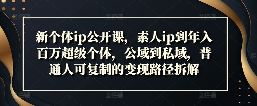 新个体ip公开课，素人ip到年入百万超级个体，公域到私域，普通人可复制的变现路径拆解-摸金项目网