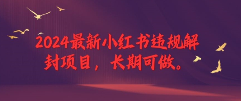2024最新小红书违规解封项目，长期可做，一个可以做到退休的项目【揭秘】-摸金项目网