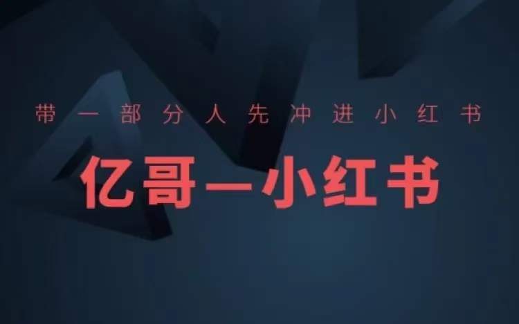​​带一部分人先冲进小红书，小红书开店、选品、爆款裂变-摸金项目网