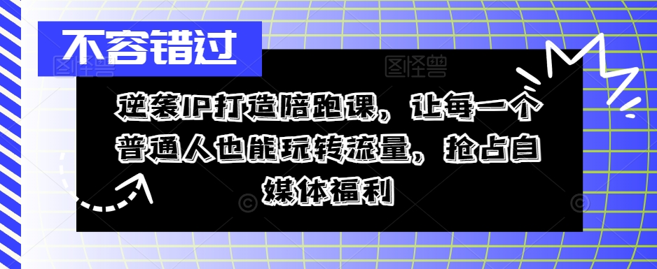 逆袭IP打造陪跑课，让每一个普通人也能玩转流量，抢占自媒体福利-摸金项目网