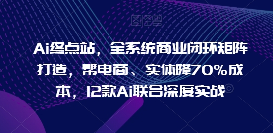 Ai终点站，全系统商业闭环矩阵打造，帮电商、实体降70%成本，12款Ai联合深度实战【0906更新】-摸金项目网