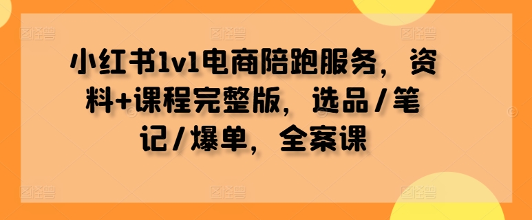 小红书1v1电商陪跑服务，资料+课程完整版，选品/笔记/爆单，全案课-摸金项目网