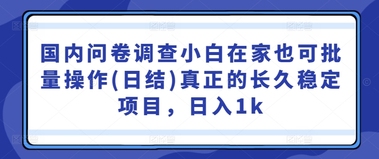 国内问卷调查小白在家也可批量操作(日结)真正的长久稳定项目，日入1k【揭秘】-摸金项目网