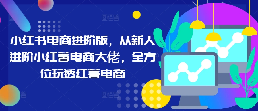 小红书电商进阶版，从新人进阶小红薯电商大佬，全方位玩透红薯电商-摸金项目网