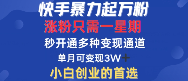 快手暴力起万粉，涨粉只需一星期，多种变现模式，直接秒开万合，单月变现过W【揭秘】-摸金项目网
