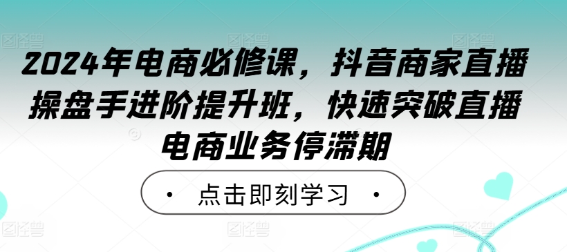 2024年电商必修课，抖音商家直播操盘手进阶提升班，快速突破直播电商业务停滞期-摸金项目网