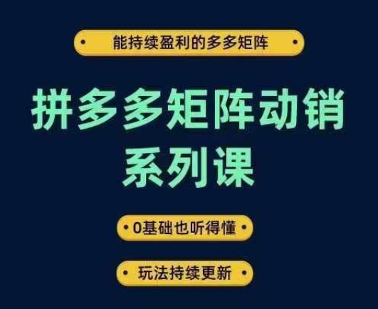 拼多多矩阵动销系列课，能持续盈利的多多矩阵，0基础也听得懂，玩法持续更新-摸金项目网