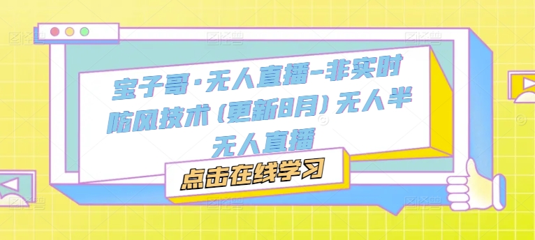 宝子哥·无人直播-非实时防风技术(更新9月)无人半无人直播-摸金项目网
