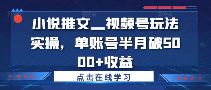 小说推文—视频号玩法实操，单账号半月破5000+收益-摸金项目网