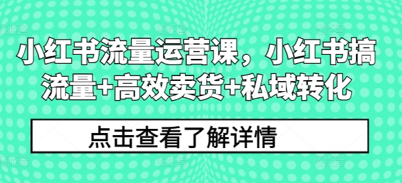 小红书流量运营课，小红书搞流量+高效卖货+私域转化-摸金项目网