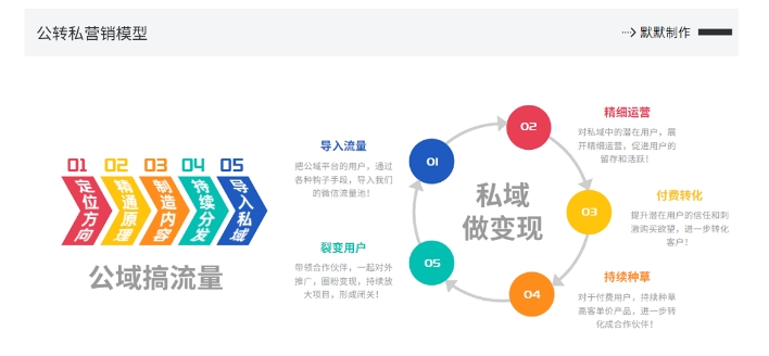 网创掘金实战营，从零搭建一个年入百万的变现项目（持续更新）-摸金项目网