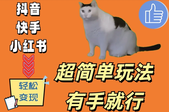 超简单玩法，有手就行，靠猫咪视频日入500+【揭秘】-摸金项目网