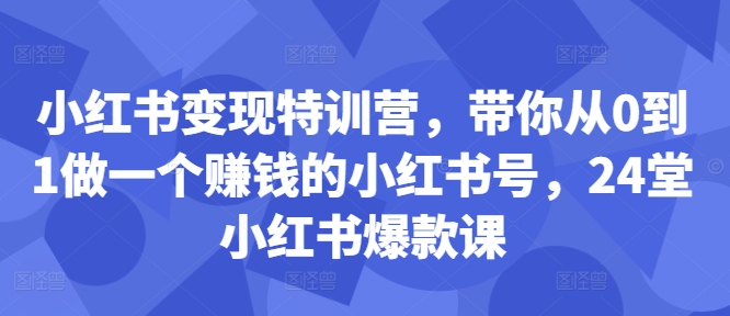 小红书变现特训营，带你从0到1做一个赚钱的小红书号，24堂小红书爆款课-摸金项目网