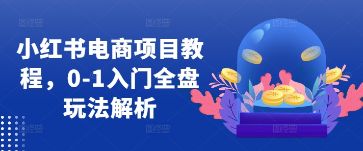 小红书电商项目教程，0-1入门全盘玩法解析-摸金项目网