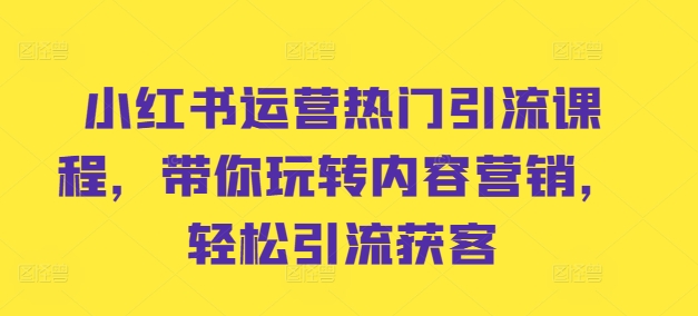 小红书运营热门引流课程，带你玩转内容营销，轻松引流获客-摸金项目网