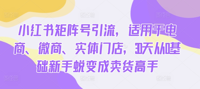 小红书矩阵号引流，适用于电商、微商、实体门店，30天从0基础新手蜕变成卖货高手-摸金项目网