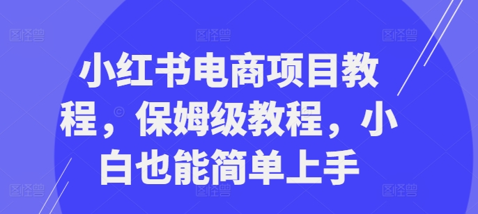 小红书电商项目教程，保姆级教程，小白也能简单上手-摸金项目网