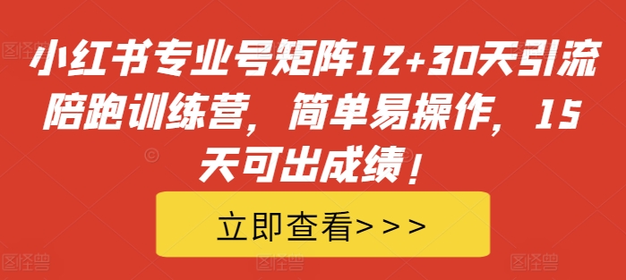小红书专业号矩阵12+30天引流陪跑训练营，简单易操作，15天可出成绩!-摸金项目网