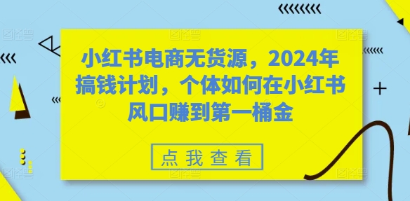小红书电商无货源，2024年搞钱计划，个体如何在小红书风口赚到第一桶金-摸金项目网