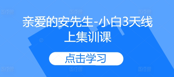 亲爱的安先生-小白3天线上集训课-摸金项目网