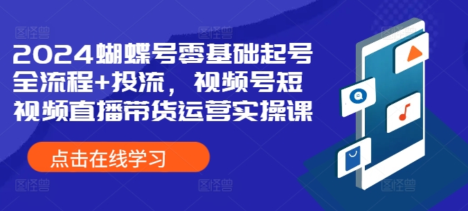 2024蝴蝶号零基础起号全流程+投流，视频号短视频直播带货运营实操课-摸金项目网