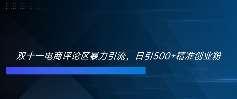 双十一电商评论区暴力引流，日引500+精准创业粉【揭秘】-摸金项目网