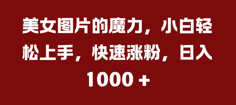 美女图片的魔力，小白轻松上手，快速涨粉，日入几张【揭秘】-摸金项目网