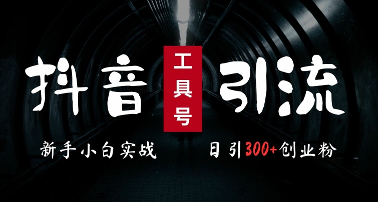 2024最新抖音工具号引流玩法，高效日引300+创业粉，当天变现5k，小白也可成为实战高手-摸金项目网