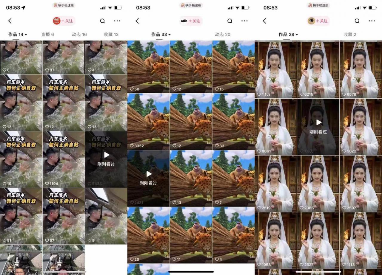 狗熊岭快手连怼技术，好物，涨粉都可以连怼-摸金项目网