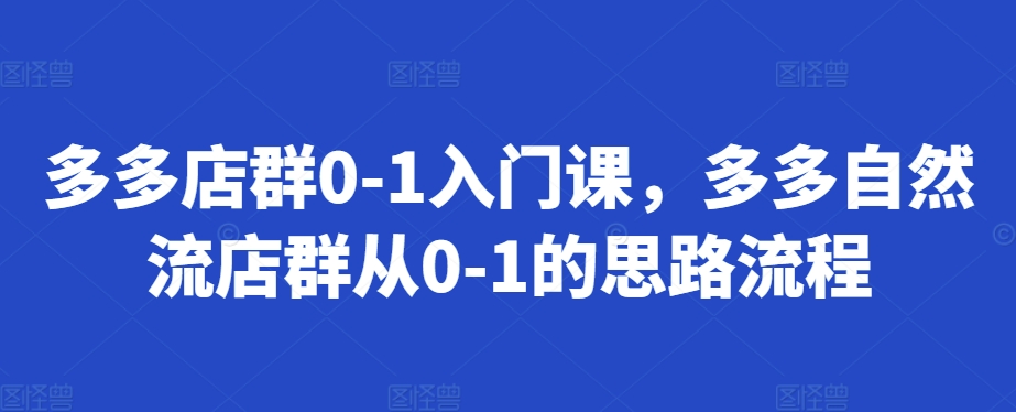 多多店群0-1入门课，多多自然流店群从0-1的思路流程-摸金项目网
