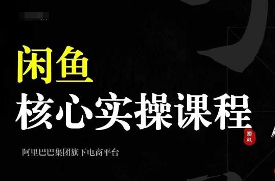 2024闲鱼核心实操课程，从养号、选品、发布、销售，教你做一个出单的闲鱼号-摸金项目网