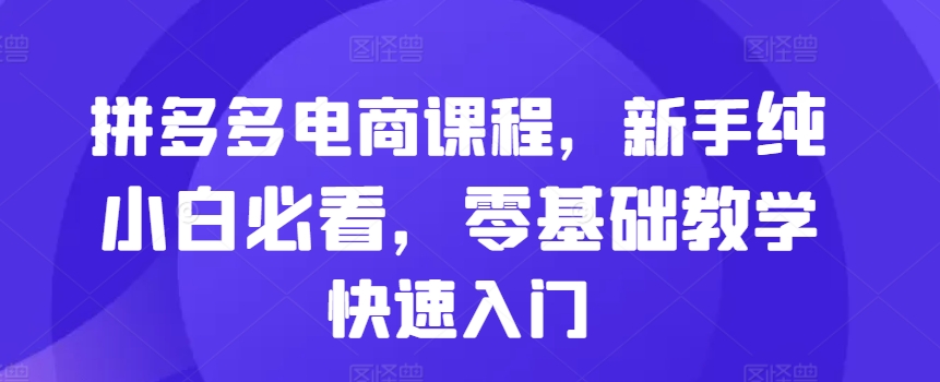 拼多多电商课程，新手纯小白必看，零基础教学快速入门-摸金项目网
