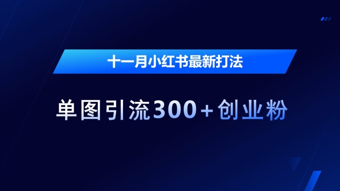 十一月小红书最新打法，单图引流300+创业粉【揭秘】-摸金项目网