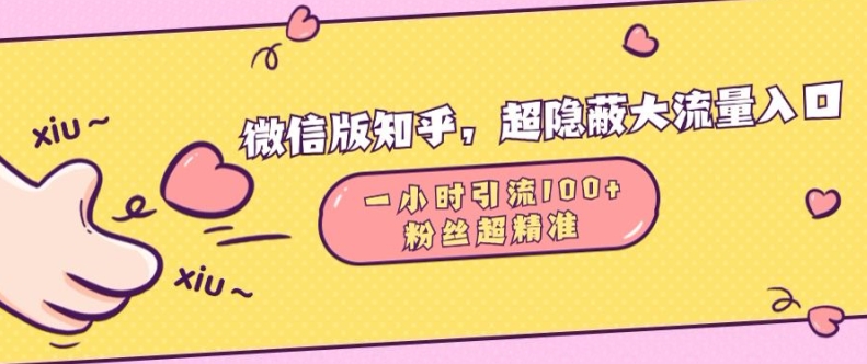 微信版知乎，超隐蔽流量入口1小时引流100人，粉丝质量超高【揭秘】-摸金项目网