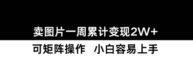 小红书【卖图片】一周累计变现2W+小白易上手-摸金项目网