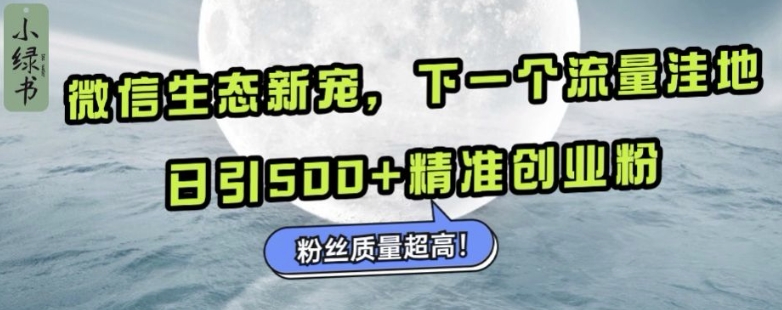 微信生态新宠小绿书：下一个流量洼地，日引500+精准创业粉，粉丝质量超高-摸金项目网