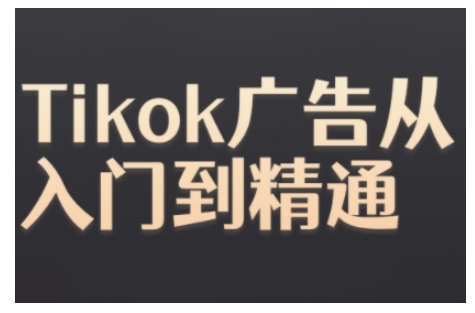 Tiktok Ads实操教程，Tiktok广告从入门到精通-摸金项目网