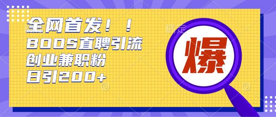 通过Boss直聘，每天轻松钓到200+多条创业大鱼的秘籍【揭秘】-摸金项目网