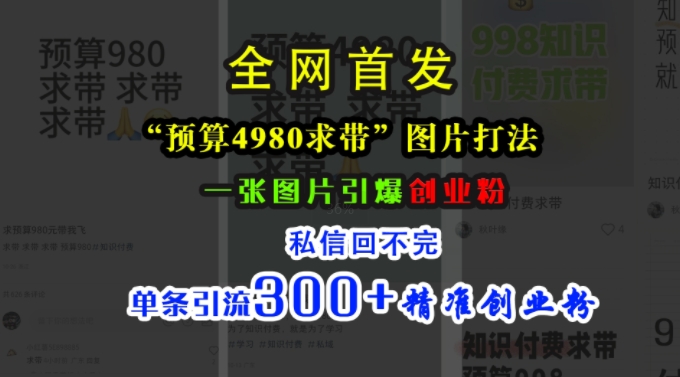 小红书“预算4980带我飞”图片打法，一张图片引爆创业粉，私信回不完，单条引流300+精准创业粉-摸金项目网