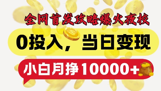 全网首发爆火夜校，0投入，当日变现，小白轻松月入1w+【揭秘】-摸金项目网