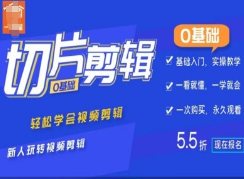 0基础IP切片剪辑，轻松学会视频剪辑，新人玩转视频剪辑-摸金项目网