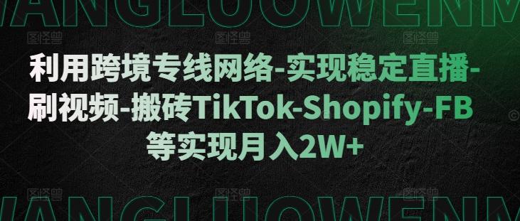 利用跨境专线网络-实现稳定直播-刷视频-搬砖TikTok-Shopify-FB等实现月入2W+【揭秘】-摸金项目网
